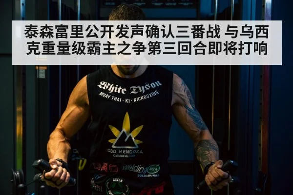 Tyson Fury Oleksandr Usyk boxing
